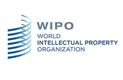 #晨報#WIPO 仲裁與調解中心成為中國國家頂級域名爭議解決機構（自2019.8.1日起）